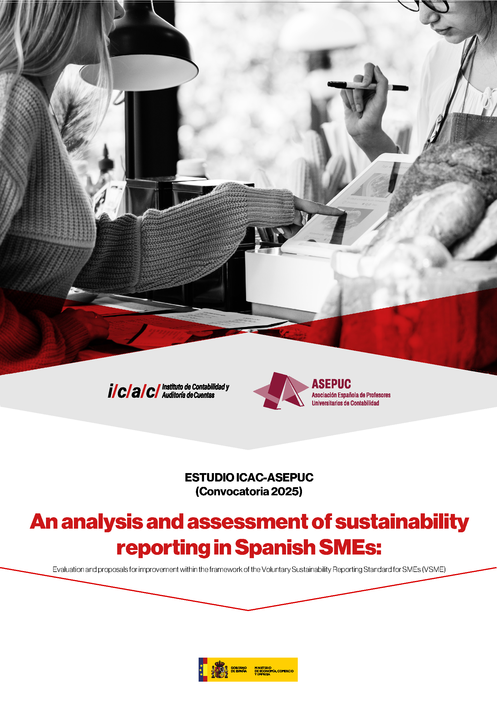 An Analysis and Assessment of Sustainability Reporting in Spanish SMEs: Evaluation and Proposals for Improvement within the Framework of the Voluntary Sustainability Reporting Standard for SMEs (VSME).